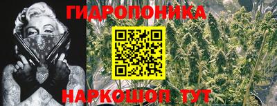 mdpv Кингисепп