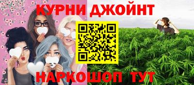 гидра Камышлов
